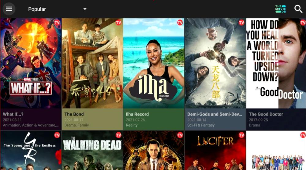 A preview of the Cinema HD APK for Amazon Firestick